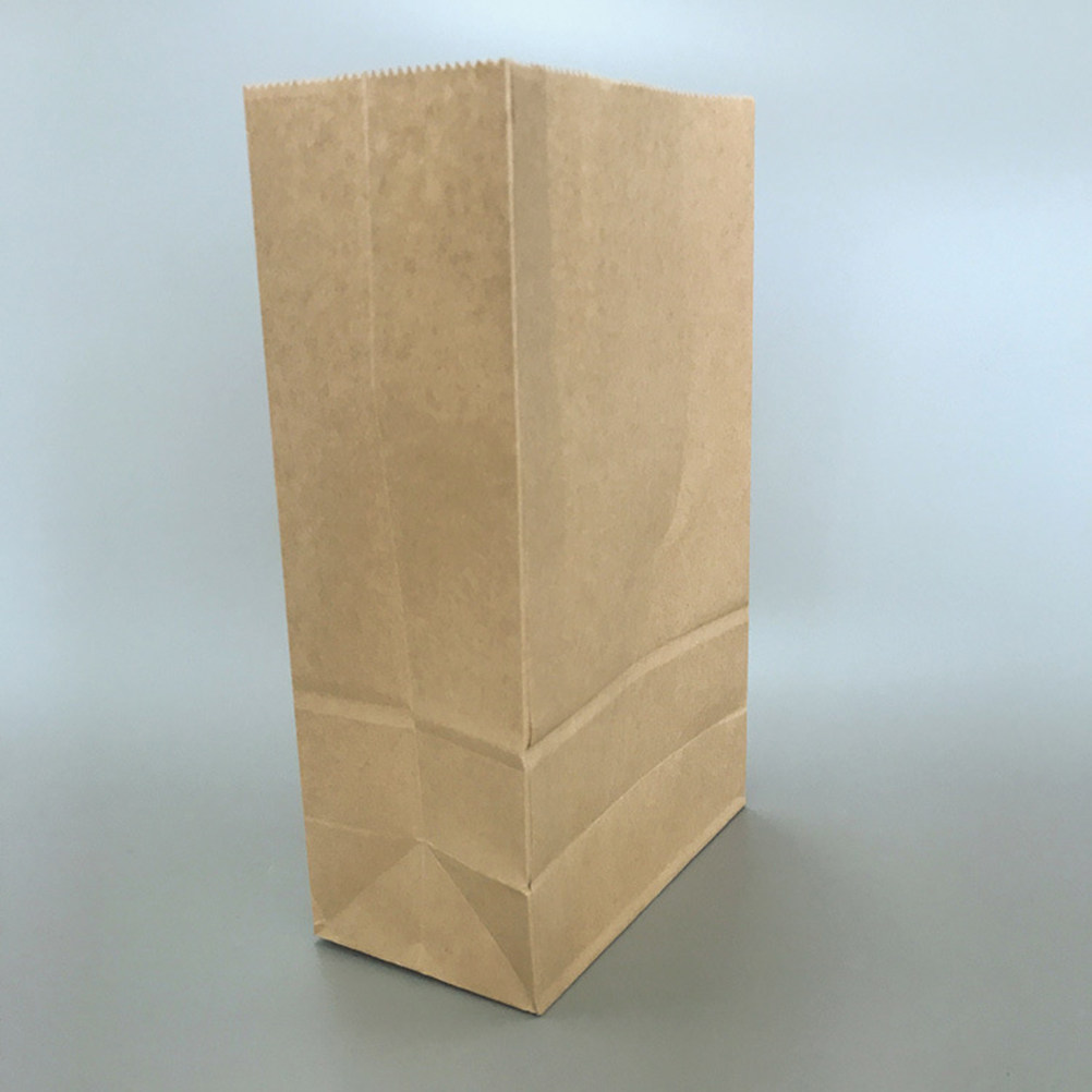 100 sacs d'emballage pour en-c - Food Snack avis et prix